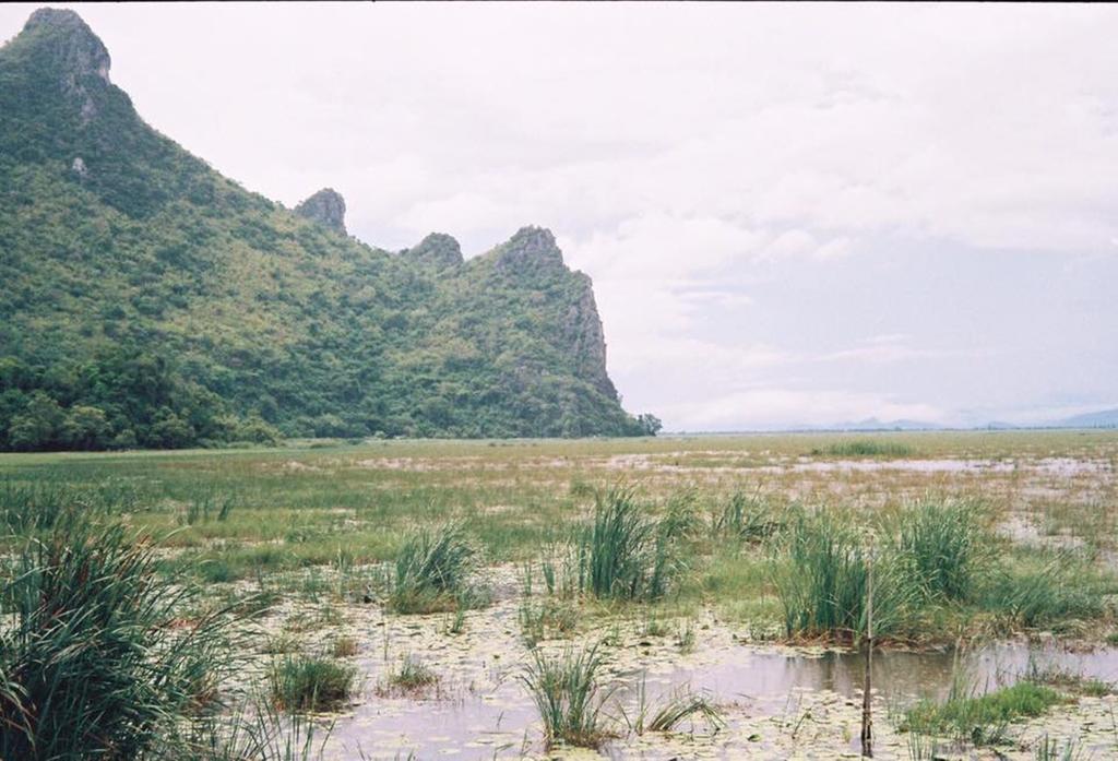 Lungcha Homestay Sam Roi Yot Exterior foto